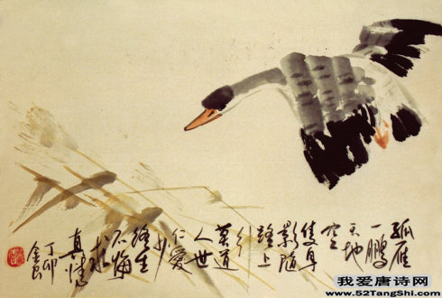 唐诗孤雁配图